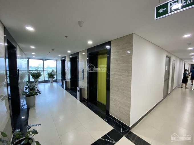 Chính Chủ Bán Lại Căn 3pn,81m Ban Công đông Nam Giá 2320 Bao Phí Tại Anland Lakeview 5