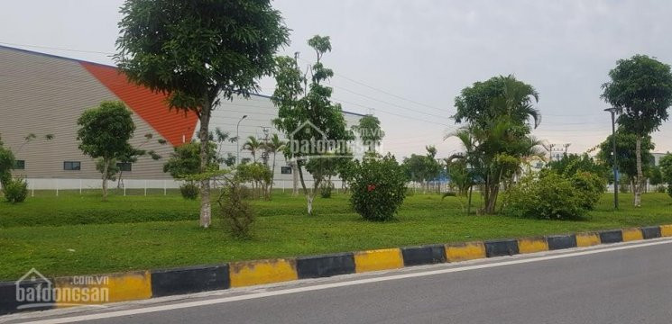 Chính Chủ Bán Nhanh 10000m2 - 20000m2 - 50000m2 đất Khu Công Nghiệp Yên Phong Bắc Ninh 2