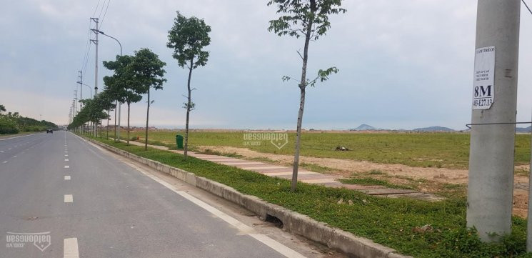 Chính Chủ Bán Nhanh 2,5ha Khu Công Nghiệp Vân Trung Bắc Giang Giá 2,048 Triệu/m2 2