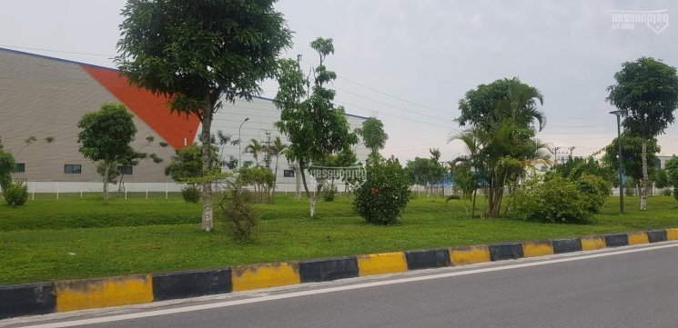 Chính Chủ Bán Nhanh 2,5ha Khu Công Nghiệp Vân Trung Bắc Giang Giá 2,048 Triệu/m2 4