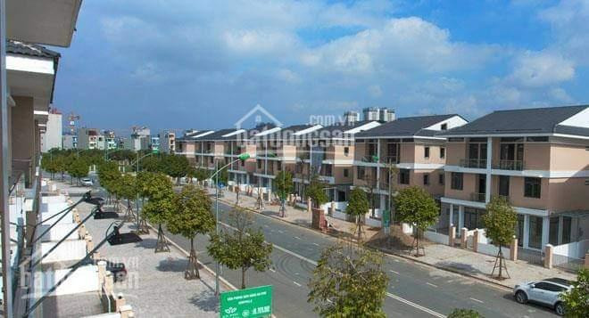 Chính Chủ Bán Nhanh Biệt Thự Dương Nội Chủ đầu Tư Nam Cường, Nhận Nhà Ngay Lh: 0984 673 788 1