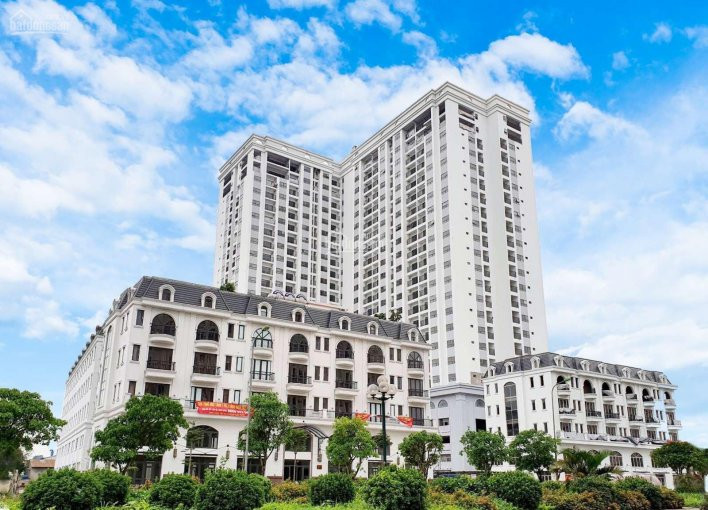 Chính Chủ Bán Nhanh Căn Duplex, Penthouse Tsg Lotus Siêu Sang Lk Vinhomes Riverside Long Biên, Giá Chỉ 265 Tr/m2 1