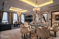 Chính Chủ Bán Nhanh Căn Hộ 2pn 125m2 Tại Tòa Lâu đài đá D' Palais Louis Nguyễn Văn Huyên Tập đoàn Tân Hoàng Minh 9