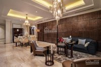 Chính Chủ Bán Nhanh Căn Hộ 2pn 125m2 Tại Tòa Lâu đài đá D' Palais Louis Nguyễn Văn Huyên Tập đoàn Tân Hoàng Minh 12