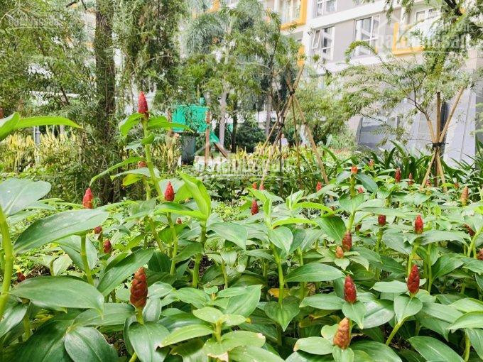 Chính Chủ Bán Nhanh Căn Hộ Chung Cư Botanic, Quận Phú Nhuận, 2 Phòng Ngủ, Nội Thất Cao Cấp Giá 38 Tỷ/căn 7