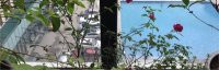 Chính Chủ Bán Nhanh Căn Hộ Chung Cư Chelsea Park Trung Kính 100m2 Giá Bán Có Thương Lượng Và Bao Thuế Phí Sang Tên 4