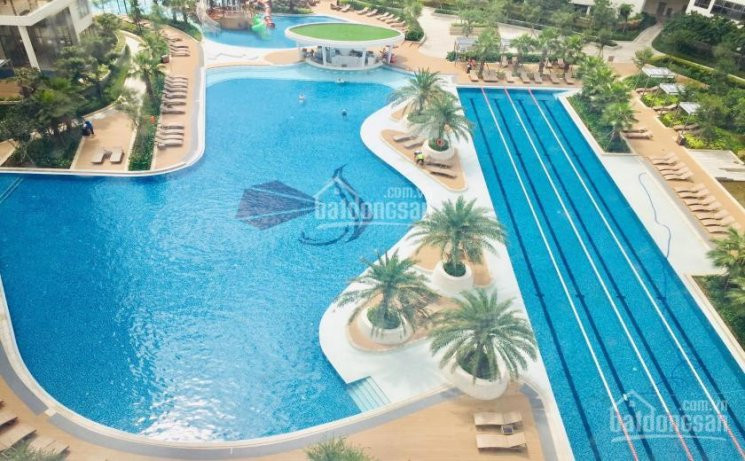 Chính Chủ Bán Nhanh Căn Hộ Góc 3 Phòng Ngủ Tháp Bahamas đảo Kim Cương, Dt 117m2, Giá 8 Tỷ Lh 0942984790 1