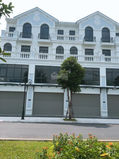 Chính Chủ Bán Nhanh Căn Shophouse 5 Tầng Ngọc Trai 08 Giá 7,9 Tỷ = Giá Tốt Nhất Thị Trường 3