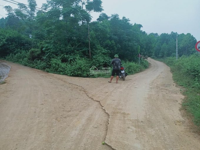 Chính Chủ Bán Nhanh đất Cư Yên, Lương Sơn, Hòa Bình đất 2 Mặt Tiền, Thoáng, Cách Trung Tâm Chỉ 4km 1