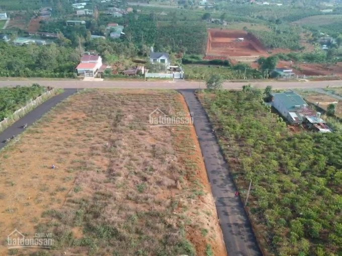 Chính Chủ Bán Nhanh đất Hẻm Phan đình Phùng, Tp Bảo Lộc Cách đường 30m đối Diện Resort Vintage Garden 1