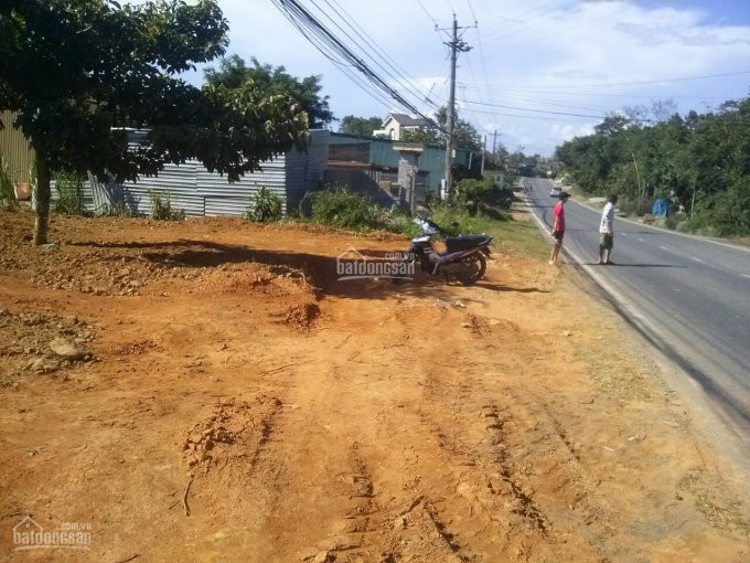 Chính Chủ Bán Nhanh đất Mặt Tiền Quốc Lộ 20, Thành Phố Bảo Lộc - Tiện Làm Kho Xưởng, Cho Thuê Kinh Doanh 1