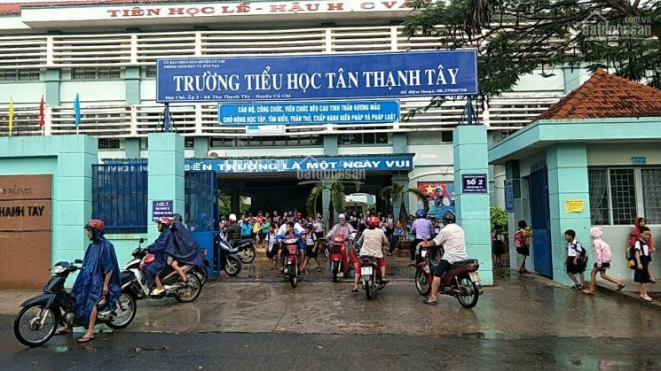 Chính Chủ Bán Nhanh đất Mặt Tiền Trưởng Tiểu Học Tân Thạnh Tây Gần Tỉnh Lộ 8 Củ Chi 8