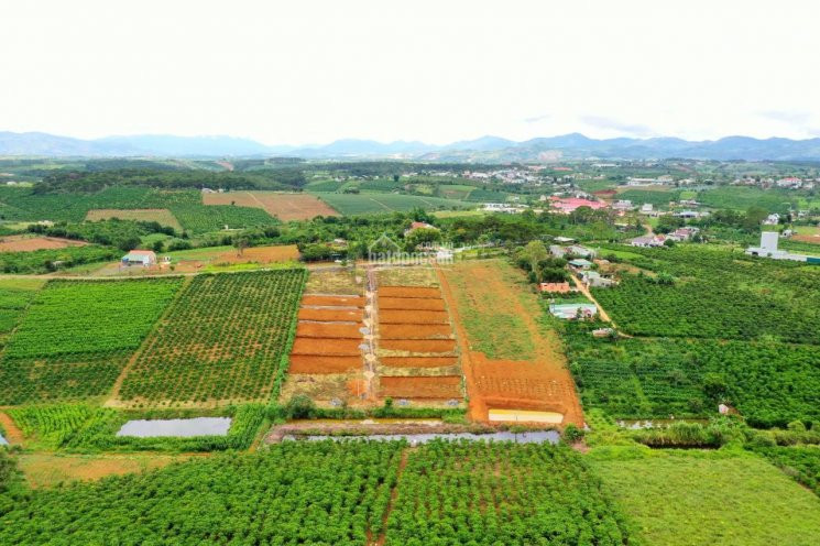 Chính Chủ Bán Nhanh đất Nền Biệt Thự đamb'ri Hill Village Bảo Lộc 730 Triệu/210m2 View đồi Hồ Cảnh Quan 2