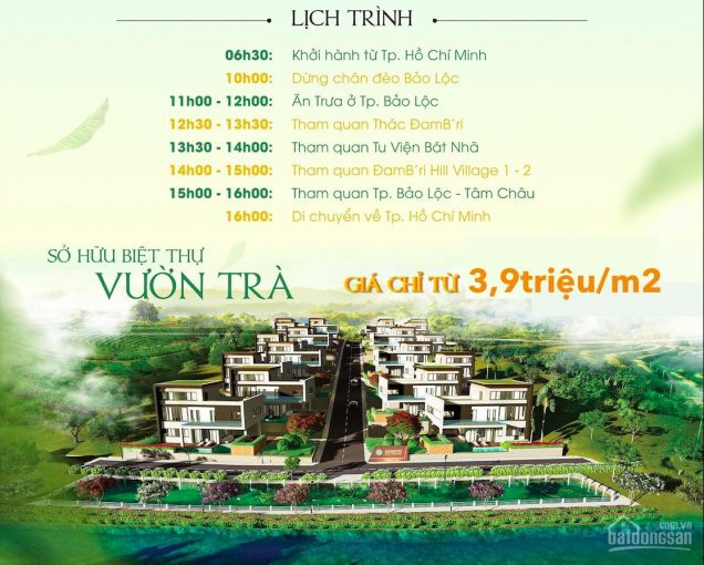 Chính Chủ Bán Nhanh đất Nền Biệt Thự đamb'ri Hill Village Bảo Lộc 730 Triệu/210m2 View đồi Hồ Cảnh Quan 6