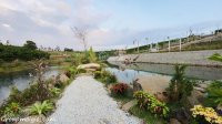 Chính Chủ Bán Nhanh đất Nền Biệt Thự đamb'ri Hill Village Bảo Lộc 730 Triệu/210m2 View đồi Hồ Cảnh Quan 8