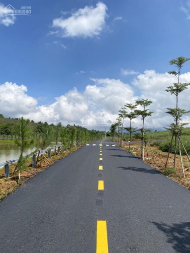 Chính Chủ Bán Nhanh đất Nền Nghĩ Dưỡng ở Ngay Trung Tâm Tp Bảo Lộc, Tiềm Năng Lớn 1