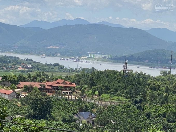 Chính Chủ Bán Nhanh đất Sổ đỏ Thổ Cư Xã Minh Quang, View Sông đà, đường Betong To, Có Sẵn Vườn Cây ăn Quả 1