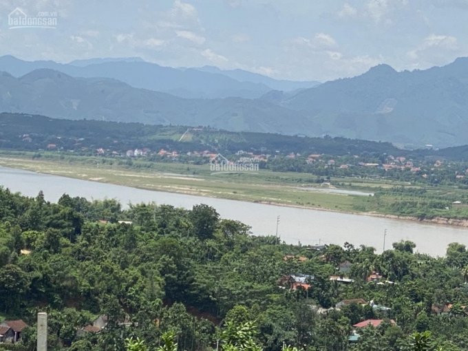 Chính Chủ Bán Nhanh đất Sổ đỏ Thổ Cư Xã Minh Quang, View Sông đà, đường Betong To, Có Sẵn Vườn Cây ăn Quả 3