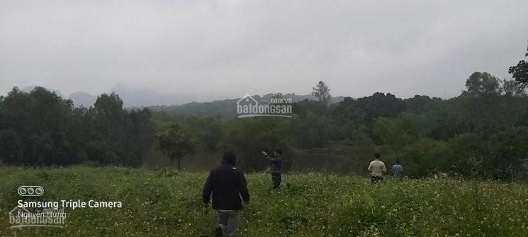Chính Chủ Bán Nhanh đất Thổ Cư Cao Phong, Hòa Bình View Hồ, Cách Hn Chỉ 40 Phút Lái Xe 1