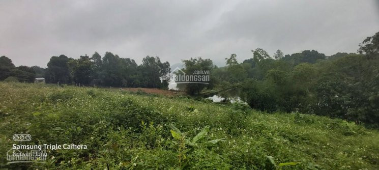 Chính Chủ Bán Nhanh đất Thổ Cư Cao Phong, Hòa Bình View Hồ, Cách Hn Chỉ 40 Phút Lái Xe 2