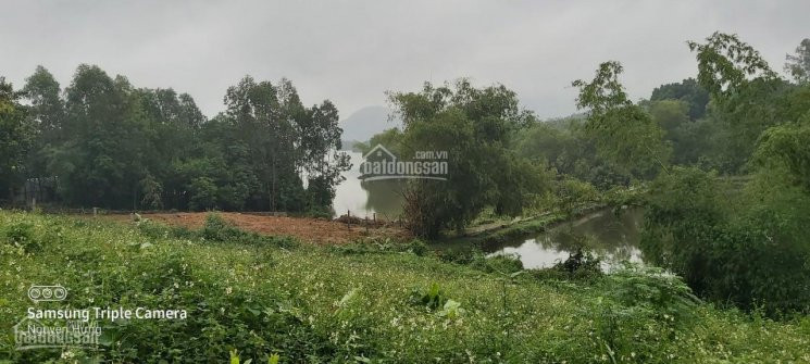 Chính Chủ Bán Nhanh đất Thổ Cư Cao Phong, Hòa Bình View Hồ, Cách Hn Chỉ 40 Phút Lái Xe 4