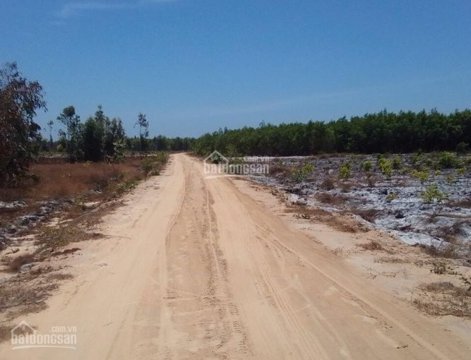 Chính Chủ Bán Nhanh đất Vị Trí 2 đường Hùng Vương, Tx Lagi, Bình Thuận, Diện Tích 12 Ha Giá 75 Tỷ Cách Biển 1km 2