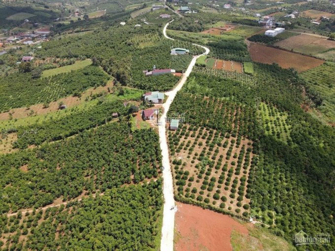 Chính Chủ Bán Nhanh đất View đẹp đường Trần Nhật Duật, Thành Phố Bảo Lộc, Cách Trung Tâm 2km 3