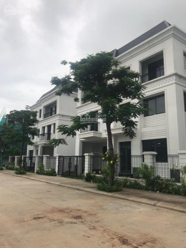 Chính Chủ Bán Nhanh Gấp Căn Biệt Thự Mua Ngoại Giao Mặt Hồ Pearl Villas, Dt 160m2, Giá Rẻ Nhất Thị Trường 3