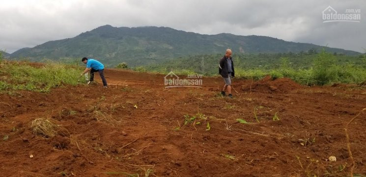 Chính Chủ Bán Nhanh Gấp đất Bảo Lộc Mặt Tiền đường Vành đai Phường Lộc Sơn, Gần Quốc Lộ 55 3