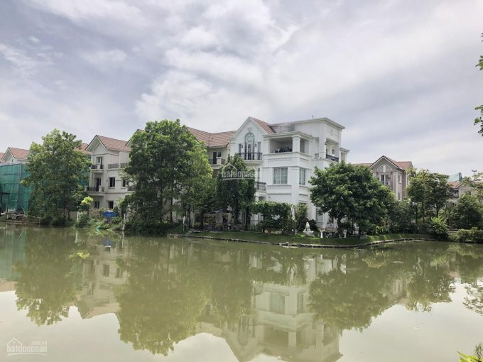 Chính Chủ Bán Nhanh Gấp Lô Hoa Phượng 4 Vinhomes Riverside, 320m2, đn, Thửa đất Vuông, Sông Thoáng, Giá 22 Tỷ 1