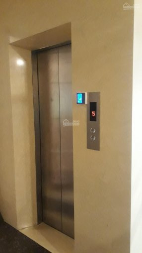 Chính Chủ Bán Nhanh Gấp Nhà Cát Linh, đống đa 65m2*8 Tầng Tm, ở Vip Cho Thuê 56 Tr/th, Giá 69 Tỷ Lh 0397550883 1