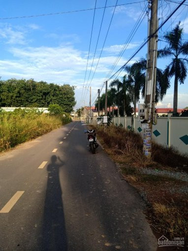 Chính Chủ Bán Nhanh Lô đất Long Nguyên Mặt Tiền đường Lớn, Cách Chợ Bến Cát 1,5km 5x50 Thổ Cư Sổ Hồng Riêng 2