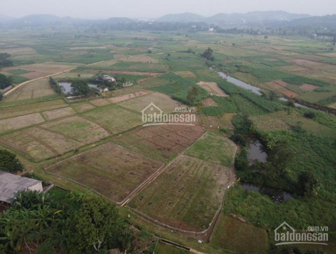 Chính Chủ Bán Nhanh Mảnh 5000m2 View Cánh đồng Cực đẹp 1