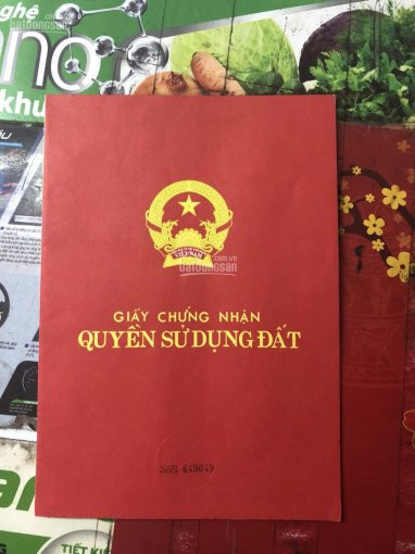 Chính Chủ Bán Nhanh Nhà 5 Tầng Mặt Phố Chiến Thắng, Hà đông Lô Góc 113m2 1