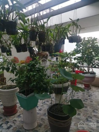 Chính Chủ Bán Nhanh Nhà đẹp ở Ngay, 50m2, 3 Lầu Bt Kiên Cố, Tô Hiến Thành Quận 10, Chỉ 7tỷ6 Tl 3