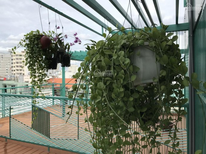 Chính Chủ Bán Nhanh Nhà đường Trương Quốc Dung, Quận Phú Nhuận, Nhà 5 Lầu (căn Góc) Thiết Kế Châu âu Tuyệt đẹp 16