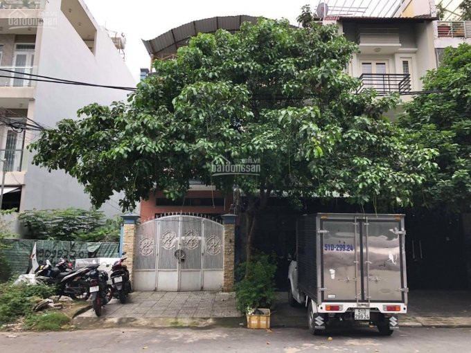 Chính Chủ Bán Nhanh Nhà Giá Rẻ Hẻm Vip 368 Tân Sơn Nhì, Tân Phú Chỉ Có Tại đây 3