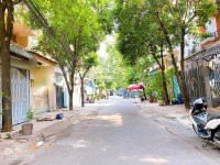Chính Chủ Bán Nhanh Nhà Hẻm 10m Có Lề đường Tân Hương, 4x16m, 1 Trệt, 2 Lầu St đầy đủ Nội Thất Gỗ, 6,1 Tỷ Tl 15