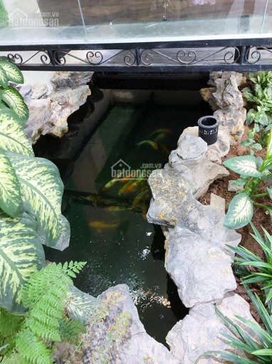 Chính Chủ Bán Nhanh Nhà Mặt Phố Văn Phú, Quận Hà đông 124m2, 7 Tầng Thang Máy, Kinh Doanh Sầm Uất 8
