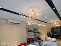 Chính Chủ Bán Nhanh Nhà Mặt Phố Văn Phú, Quận Hà đông 124m2, 7 Tầng Thang Máy, Kinh Doanh Sầm Uất 14