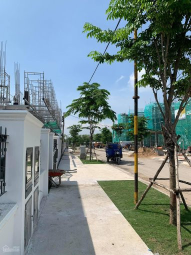 Chính Chủ Bán Nhanh Nhà Phố 8x20m Bán 6,4 Tỷ, Biệt Thự 10x20 Bán 7,6 Tỷ, Nhà Phố Nhỏ 5x19,5m Bán 5,420 Tỷ Aqua City 5