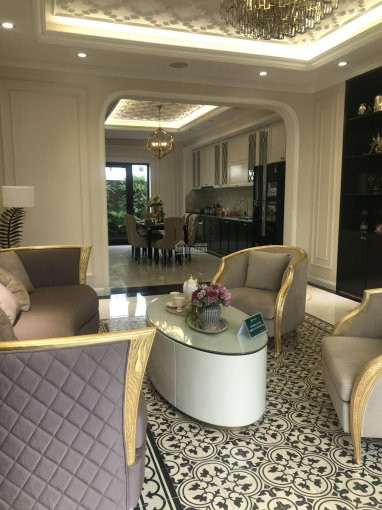 Chính Chủ Bán Nhanh Nhà Phố Kinh Doanh Mặt Tiền Hùng Vương, Phường 6,tân An 225m2 Giá Chỉ 31 Tỷ, Shr 1