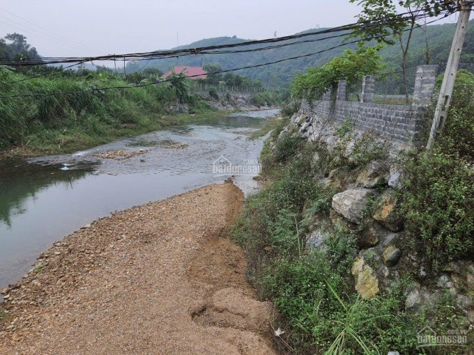 Chính Chủ Bán Nhanh Nhà Vườn Biệt Thự Với Dt:4000m Có (600m Thổ Cư )đất Thuộc Cao Răm Lương Sơn Hoà Bình 2