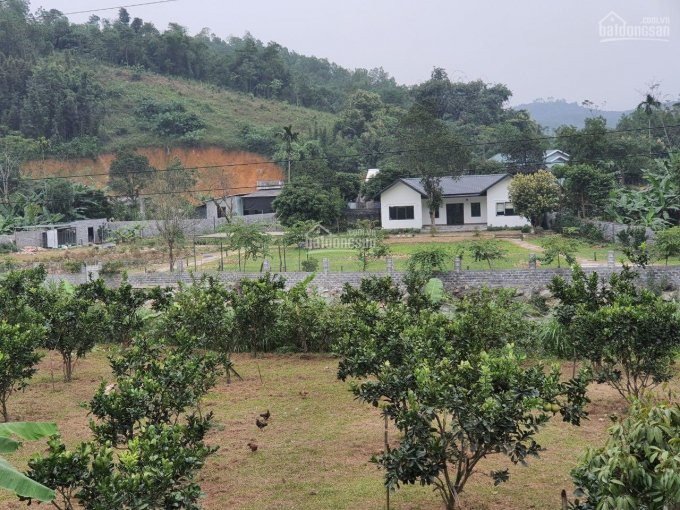 Chính Chủ Bán Nhanh Nhà Vườn Biệt Thự Với Dt:4000m Có (600m Thổ Cư )đất Thuộc Cao Răm Lương Sơn Hoà Bình 3