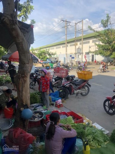 Chính Chủ Bán Nhanh Nhanh Lô đất Ngay Tthc Huyện Bàu Bàng đối Diện Chợ Kinh Doanh Ngay Lh: 0901802345 5