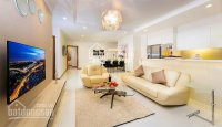 Chính Chủ Bán Nhanh Rất Gấp Căn Hộ Park View Nguyễn đức Cảnh Phú Mỹ Hưng Diện Tích 110m Giá 3,6 Tỷ Lh 0916 769 639 2