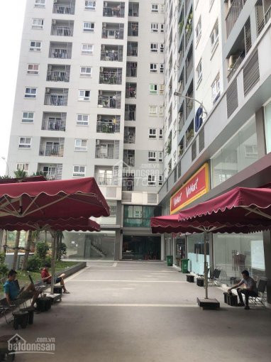 Chính Chủ Bán Nhanh Shophouse Kinh Doanh Ngay Có Căn Góc 3