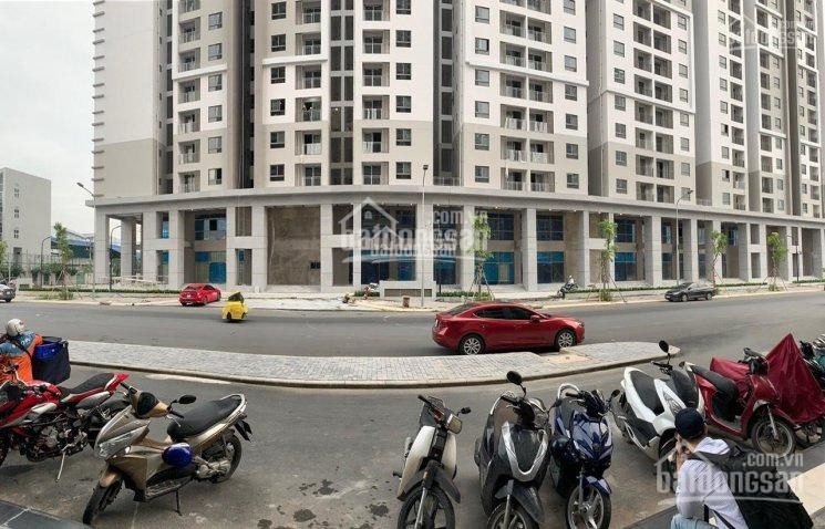 Chính Chủ Bán Nhanh Shophouse Sài Gòn South Residence, Giá 13,2 Tỷ đang Có Hợp đồng Thuê 70tr/tháng 0901319986 4