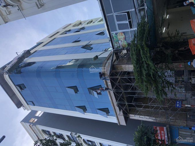 Chính Chủ Bán Nhanh Toà Nhà 9 Tầng Mặt Phố Thượng đình - Nguyễn Trãigiá: Covid (giá Cũ: 60,5 Tỷ) 3