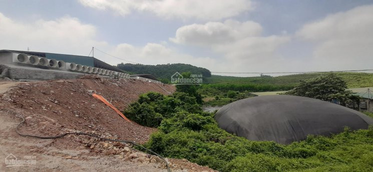 Chính Chủ Bán Nhanh Trang Trại Gà Và Trang Trại Lợn Tại Lương Sơn, Hòa Bình 6